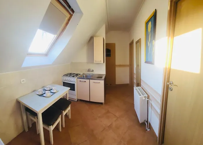 Fregata Basi 3* Łeba