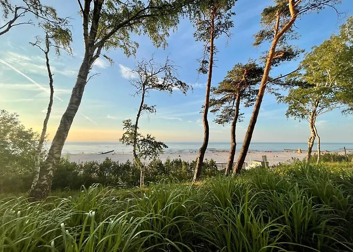 Fregata Basi 3* Łeba